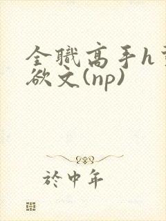 全职高手h荤肉欲文(np)