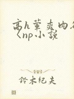 高h荤爽肉欲文〈np小说