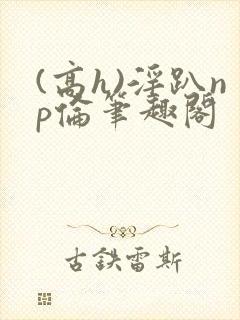 (高h)淫趴np伦笔趣阁
