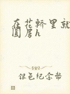 在花轿里就开始圆房h