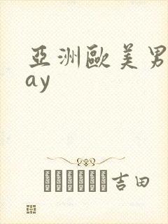 亚洲欧美男同gay