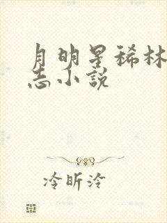 月明星稀林姨小志小说