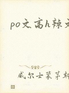 po文高h辣文