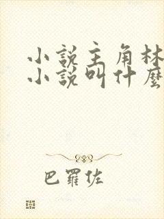 小说主角林天的小说叫什么名字封面