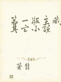 第一版主藏经阁其它小说封面