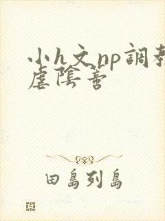 小h文np调教虐阴蒂