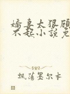 娇妻太狠顾少惹不起小说免费阅读封面