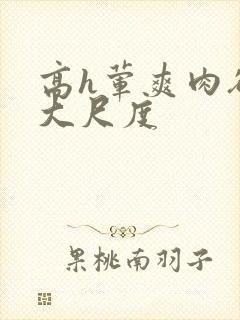 高h荤爽肉欲文大尺度