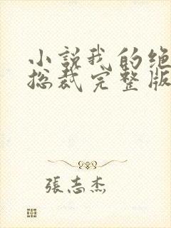 小说我的绝色女总裁完整版封面