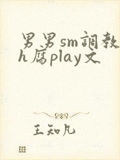 男男sm调教高h腐play文