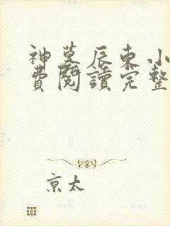 神墓辰东小说免费阅读完整版