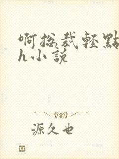 啊总裁轻点奶头h小说