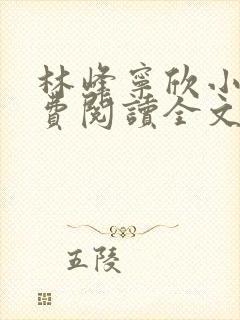 林峰宁欣小说免费阅读全文最新章节第1201