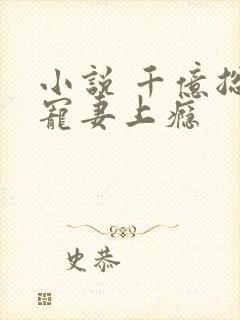 小说 千亿总裁宠妻上瘾