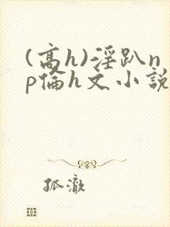 (高h)淫趴np伦h文小说封面