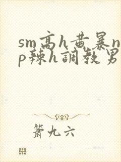 sm高h黄暴np辣h调教男奴封面