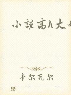 小说高h大奶