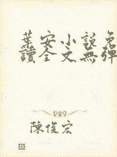 叶安小说免费阅读全文无弹窗