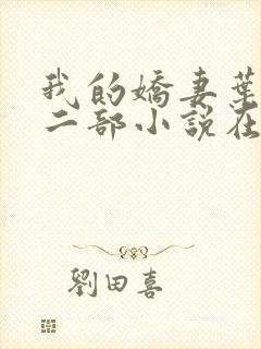 我的娇妻叶晨第二部小说在线阅读