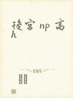 后宫 np 高h
