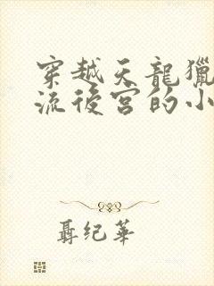 穿越天龙猎艳风流后宫的小说