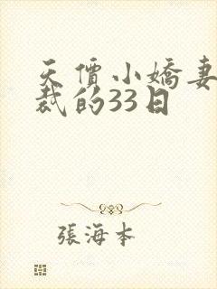 天价小娇妻 总裁的33日