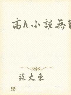 高h小说无节操封面