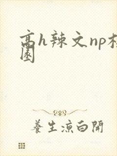 高h辣文np校园