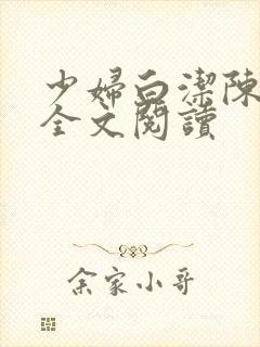 少妇白洁陈三乳全文阅读封面