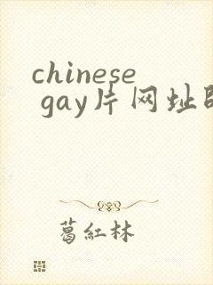 chinese gay片网址帅哥