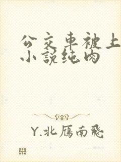 公交车被上高潮小说纯肉