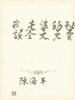 我老婆的秘密小说全文免费阅读封面