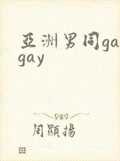 亚洲男同gaygay