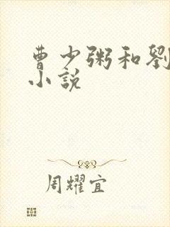 曹少粥和刘文妈小说