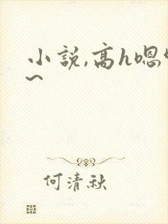 小说,高h嗯啊~封面