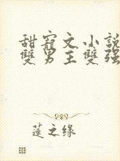 甜宠文小说推荐双男主双强