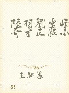 陆羽刘云峰鸿途奇才正版小说