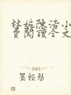 林婉陈浩小说免费阅读全文最新章节