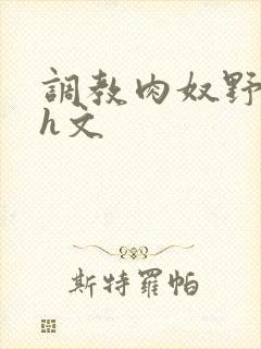 调教肉奴野原琳h文