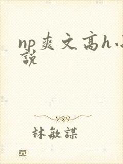 np爽文高h小说