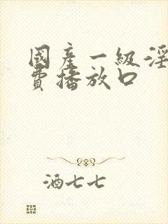 国产一级淫片免费播放口