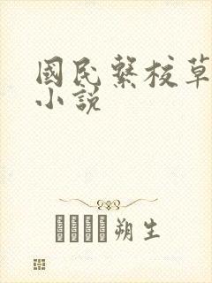 国民系校草免费小说
