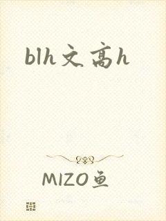 blh文高h