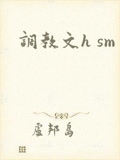 调教文h sm