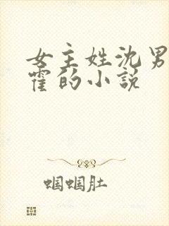 女主姓沈男主姓霍的小说封面