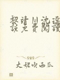 黎靖川沈瑶初小说免费阅读最新章节