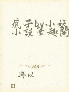 疯子by小妖子小说笔趣阁