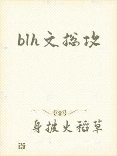 blh文总攻
