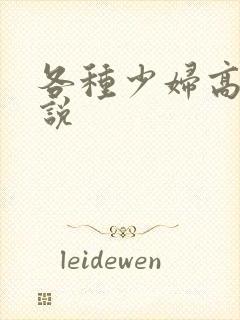 各种少妇高h小说