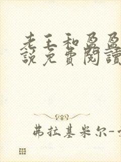 老王和盈盈的小说免费阅读